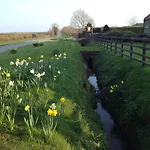 Badger Scarborough