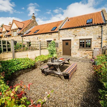 Badger * Scarborough