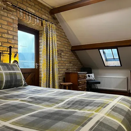 Badger Prázdninový dům *